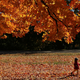 Image for article titled This Suburban Leaf Blower Drama Is Getting Heated